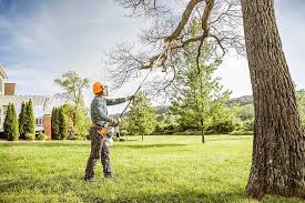 Best Stump Grinding and Removal  in Rmel Valley Village, CA