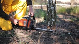 Best Soil Testing and Treatment  in Rmel Valley Village, CA