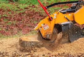 Best Tree and Shrub Care  in Rmel Valley Village, CA