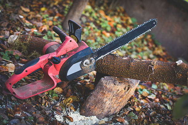 Best Pest Control for Lawns  in Rmel Valley Village, CA